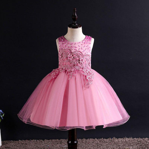 Elegant Girl Special Floral Embroidered Tutu Princess Dress