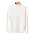 2020 New Autumn Winter Men's Warm Turtleneck Sweater High Quality Fashion Casual Comfortable Pullover Thick Sweater Male Brand AExp