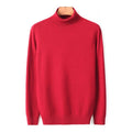 2020 New Autumn Winter Men's Warm Turtleneck Sweater High Quality Fashion Casual Comfortable Pullover Thick Sweater Male Brand AExp