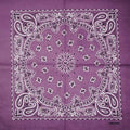 2020 New Fashion Hip Hop 100% Cotton Bandana Square Scarf 55cm*55cm Black Red Paisley Headband Printed For Women/Men/Boys/Girls AExp