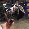 2020 New Women Headband Twist Hairband Girl Bows Headbands Cross Turban Hairbands Headwear Hair Hoop Girls Hair Accessories AExp