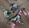 2020 Popular Womens Beachwear Sexy Bikini Set Hot Stamp Sport Swimwear Push-Up Padded Swimsuit Bodysuit Exquisite Bather Swimwea AExp