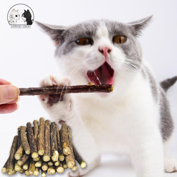 20pcs Pure Natural Catnip Pet Cat Toy Safety Molar Toothpaste Branch Cleaning Teeth Silvervine Cat Snacks Sticks Pet Supplies JadeMoghul Inc. 