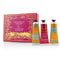 Skin Care Festive Winter Hand Trio (1x Frosted Spicewood, 1x White Cardamom, 1x Red Berry &Fir) - 3x25ml