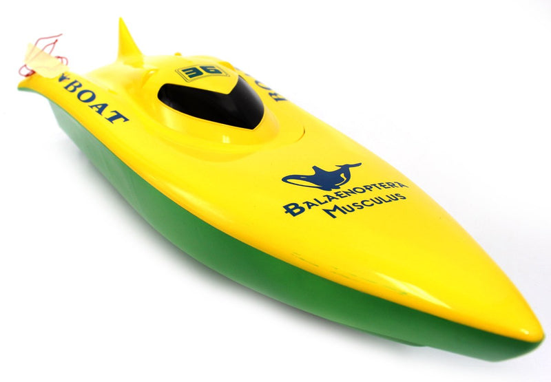 23" Balaenoptera Musculus Racing Boat-R/C Toys-JadeMoghul Inc.