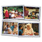 (3 EA) PHOTOGRAPHIC LEARNING CARDS-Learning Materials-JadeMoghul Inc.