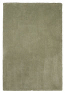 Shaw Carpet - 5' x 7' Polyester Sage Area Rug