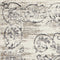 Grey Living Room Rug - 3'3" x 4'7" Polypropylene Ivory/Grey Area Rug
