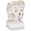 Dining Room Decor - 8" x 9" x 14" White/Ceramic Buddha Bust