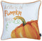 Throw Pillow Covers - 18"x 18" Thankful Pumpkin Love Printed Decorative Throw Pillow Cover