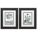 Black Picture Frames - 10" X 12" Distressed Black Frame Munting Garden (Set of 2)