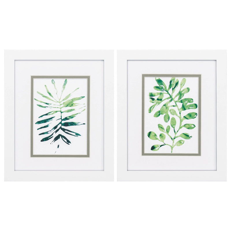 White Picture Frames - 9" X 11" Matte White Frame Emerald Tropics (Set of 2)