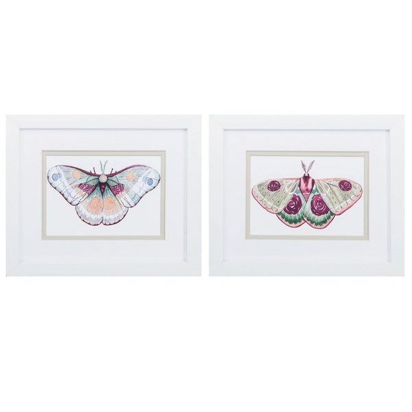 White Picture Frames - 11" X 9" Matte White Frame Moth Fairies (Set of 2)