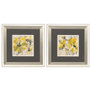 Picture Frames - 13" X 13" Brushed Silver Frame Buttercup (Set of 2)