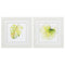 White Collage Picture Frames - 19" X 19" White Frame Balaze Palma (Set of 2)