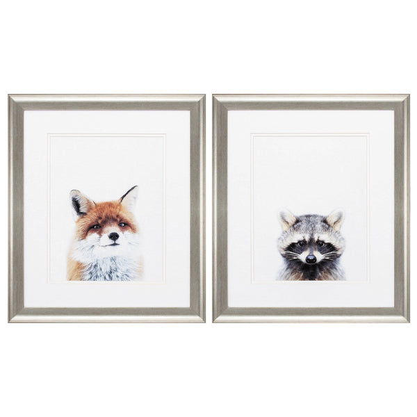 Cheap Picture Frames - 19" X 22" Brushed Silver Frame Fox Racoon (Set of 2)