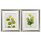 Cheap Picture Frames - 19" X 22" Brushed Silver Frame Natural Greenery (Set of 2)