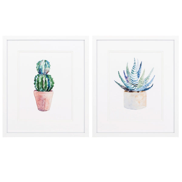 White Collage Picture Frames - 17" X 20" Matte White Frame Cactus (Set of 2)