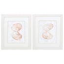 Picture Frame Shop - 19" X 22" White Frame Muted Molusk (Set of 2)
