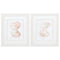 Picture Frame Shop - 19" X 22" White Frame Muted Molusk (Set of 2)