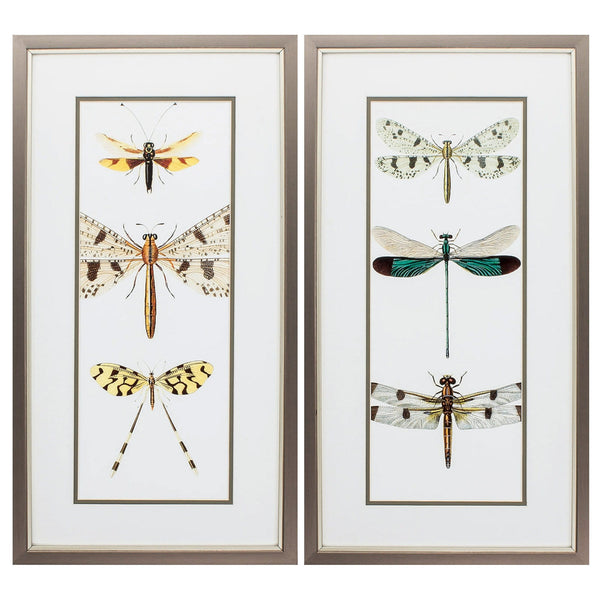 Big Picture Frames - 13" X 25" Metallic Bronze Frame Entomology Series (Set of 2)
