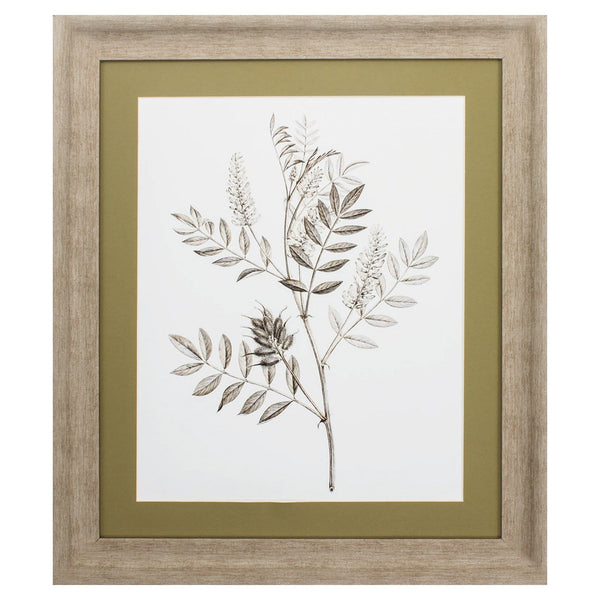 Decorative Picture Frames - 24" X 28" Champagne Color Frame  Neutral Botanical IIi