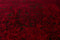 Red Rug - 22" x 36" x 0.43" Red Polypropylene/Polyester Accent Rug