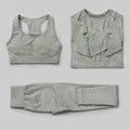 3Pcs Seamless Yoga Set Gym Fitness Clothing Women Yoga Suit Sportswear Female Workout Leggings Top Sport Clothes Training Tights JadeMoghul Inc. 