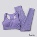 3Pcs Seamless Yoga Set Gym Fitness Clothing Women Yoga Suit Sportswear Female Workout Leggings Top Sport Clothes Training Tights JadeMoghul Inc. 