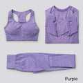 3Pcs Seamless Yoga Set Gym Fitness Clothing Women Yoga Suit Sportswear Female Workout Leggings Top Sport Clothes Training Tights JadeMoghul Inc. 