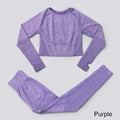 3Pcs Seamless Yoga Set Gym Fitness Clothing Women Yoga Suit Sportswear Female Workout Leggings Top Sport Clothes Training Tights JadeMoghul Inc. 