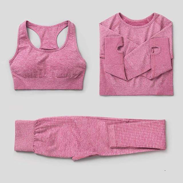 3Pcs Seamless Yoga Set Gym Fitness Clothing Women Yoga Suit Sportswear Female Workout Leggings Top Sport Clothes Training Tights JadeMoghul Inc. 