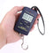 40kg x 10g Mini Digital Scale for Fishing Luggage Travel Weighting Steelyard Hanging Electronic Hook Scale, Kitchen Weight Tool JadeMoghul Inc. 