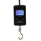 40kg x 10g Mini Digital Scale for Fishing Luggage Travel Weighting Steelyard Hanging Electronic Hook Scale, Kitchen Weight Tool JadeMoghul Inc. 