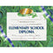 (6 PK) DIPLOMAS ELEMENTARY SCHOOL-Supplies-JadeMoghul Inc.
