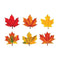 (6 PK) CLASSIC ACCENTS MAPLE LEAVES-Learning Materials-JadeMoghul Inc.