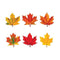(6 PK) CLASSIC ACCENTS MAPLE LEAVES-Learning Materials-JadeMoghul Inc.