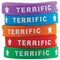 (6 Pk) Terrific Wristbands-Learning Materials-JadeMoghul Inc.