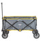 Coleman Camp Wagon [2000023362]