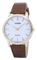 Citizen Eco-Drive AR1133-15A Men's Watch