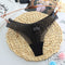 Sexy Women&#39;s Panties Lingerie G String Thongs Lace Underwear Female Perspective Women&#39;s Thong Sheer Panties Transparent Knickers