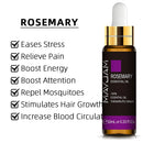 10ml Pure Plant Essential Oil For Humidifier Diffusers Mint Lavender Tea Tree Rose Vanilla Sandalwood Jasmine Pure Nature Oil