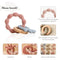 1pc Baby Teether Silicone Bracelet BPA Free  Cute Animal Silicone Pendant Wood Ring  Teething Rattle for Baby Accessories Toys