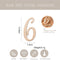 19pcs Wooden Baby Milestone Card For Newborn Baby Photography Engraved Age Milestone Wood Card Month Sticker Newborn Gifts