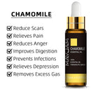 10ml Pure Plant Essential Oil For Humidifier Diffusers Mint Lavender Tea Tree Rose Vanilla Sandalwood Jasmine Pure Nature Oil