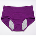 Leak Proof Menstrual Panties Women Underwear Period Cotton Waterproof Briefs Plus Size Female Physiological Breathable Pants