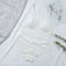 Women Lace Bra Sets Seamless Underwear Backless Vest Sexy Padded Bralette Lingerie Ultrathin Bra &amp; Brief Sets Female Intimates