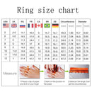 2022 Sell Well Wedding 925 Mark Jewelry Sets Black Zircon Dangle Earrings And Necklace Ring 3 Piece Set women Trendy Costume