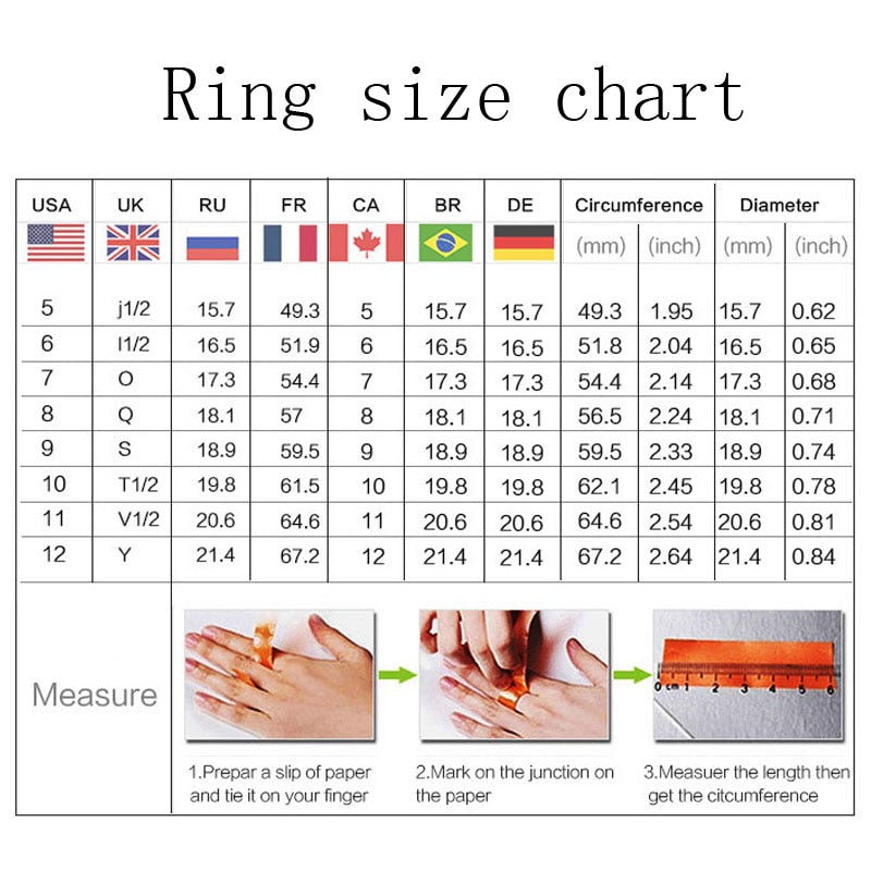 2022 Sell Well Wedding 925 Mark Jewelry Sets Black Zircon Dangle Earrings And Necklace Ring 3 Piece Set women Trendy Costume