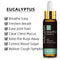 10ml Pure Plant Essential Oil For Humidifier Diffusers Mint Lavender Tea Tree Rose Vanilla Sandalwood Jasmine Pure Nature Oil